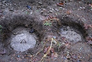 septic tank pumping