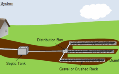 Septic Tank Maintenance